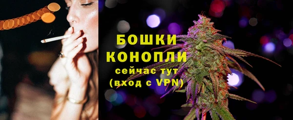 a pvp Белокуриха