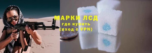 a pvp Белокуриха