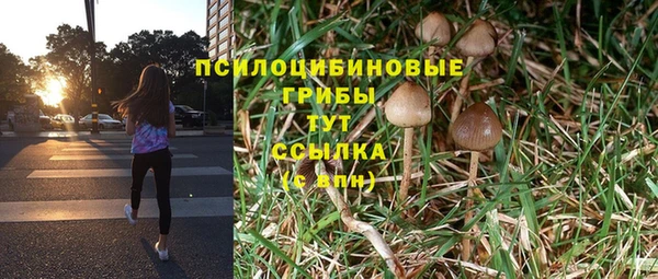 a pvp Белокуриха