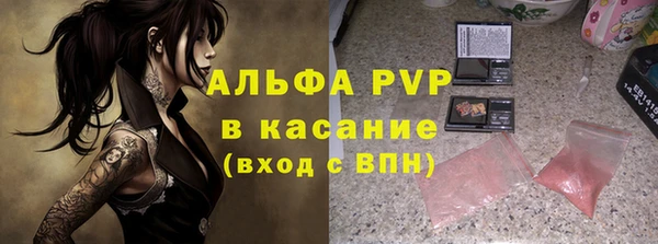 a pvp Белокуриха