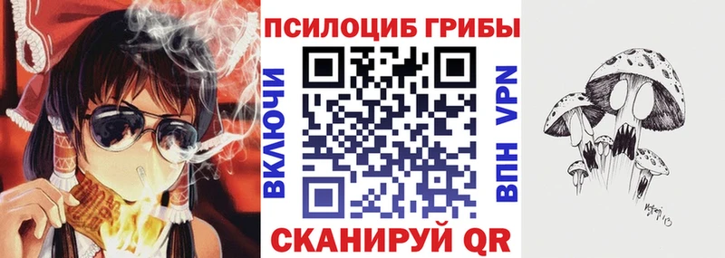 Псилоцибиновые грибы Psilocybe  где можно купить наркотик  Бородино 